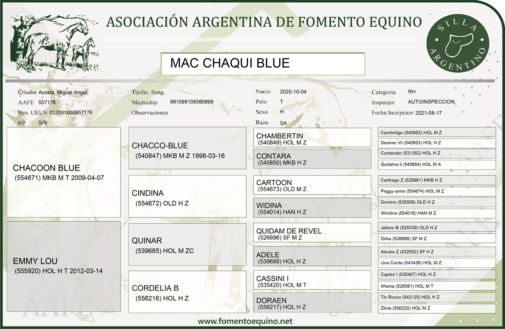 Mac Chaqui Blue