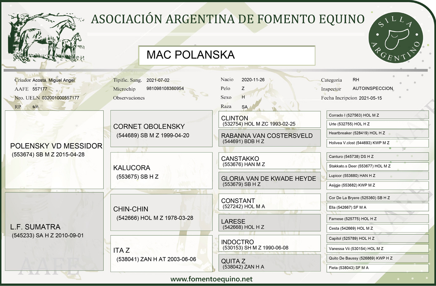 Mac Polanska