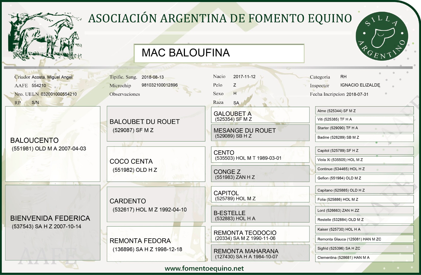 Baloufina