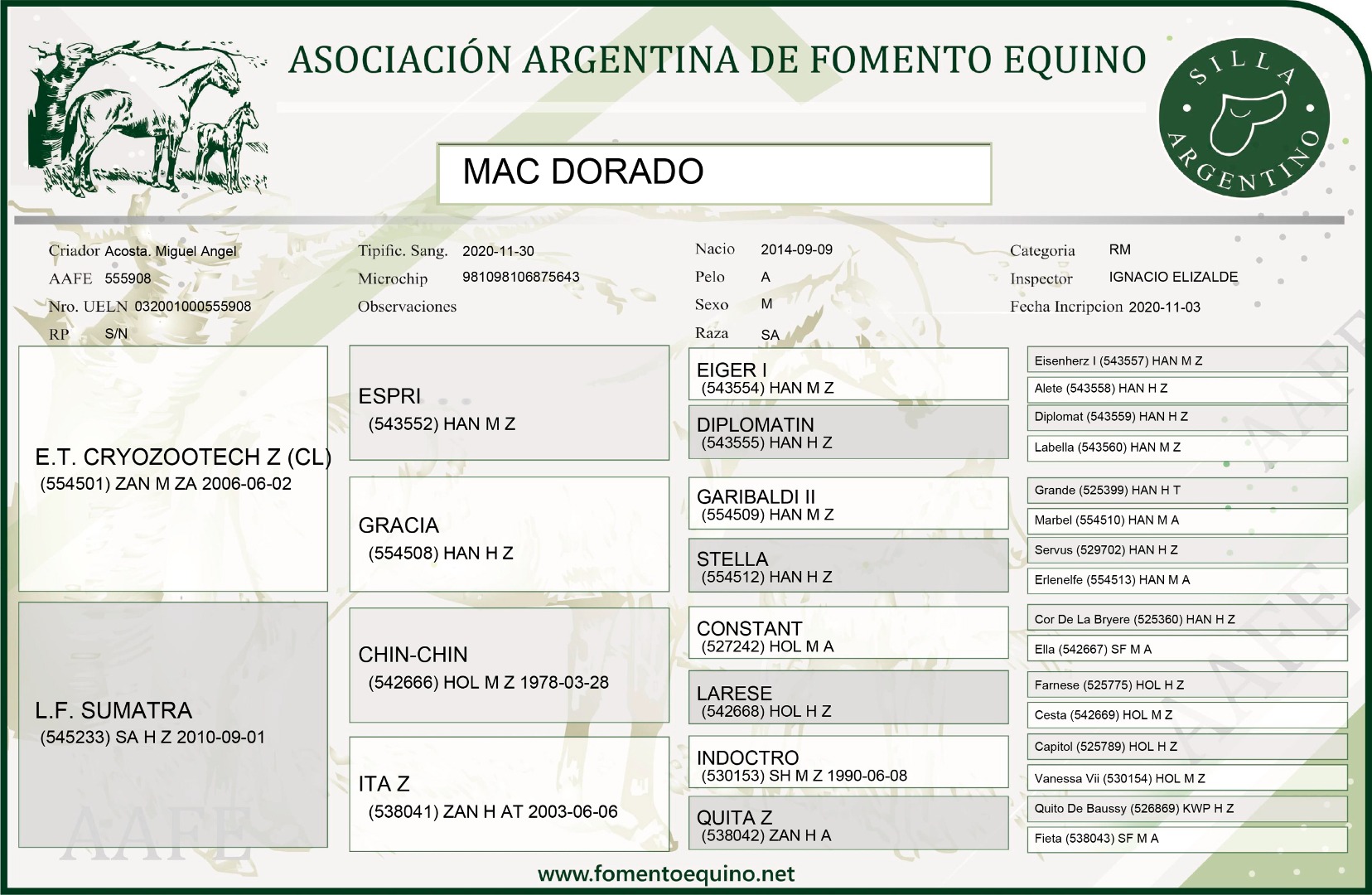 MAC Dorado